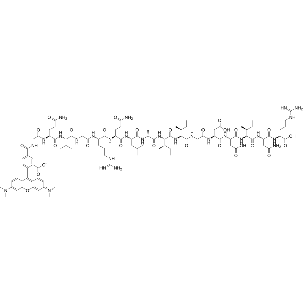 Bak BH3 (72-87), TAMRA-labeled